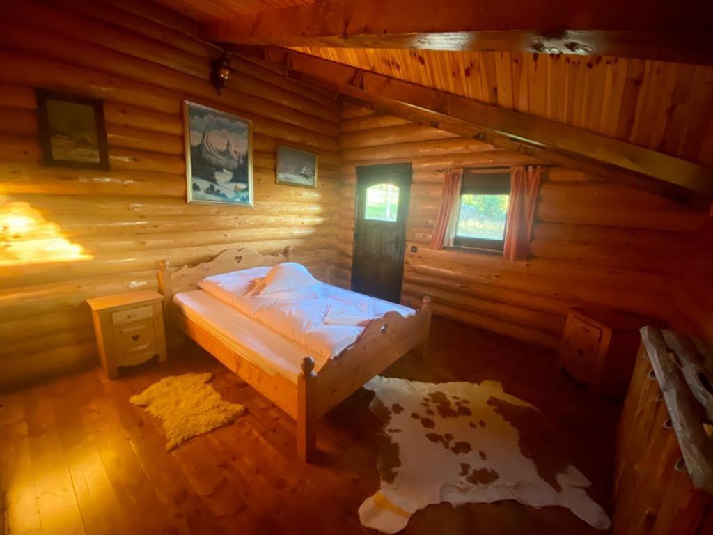 Cabana Vanatorului Risnov Exterior photo