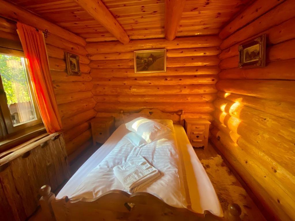 Cabana Vanatorului Risnov Exterior photo