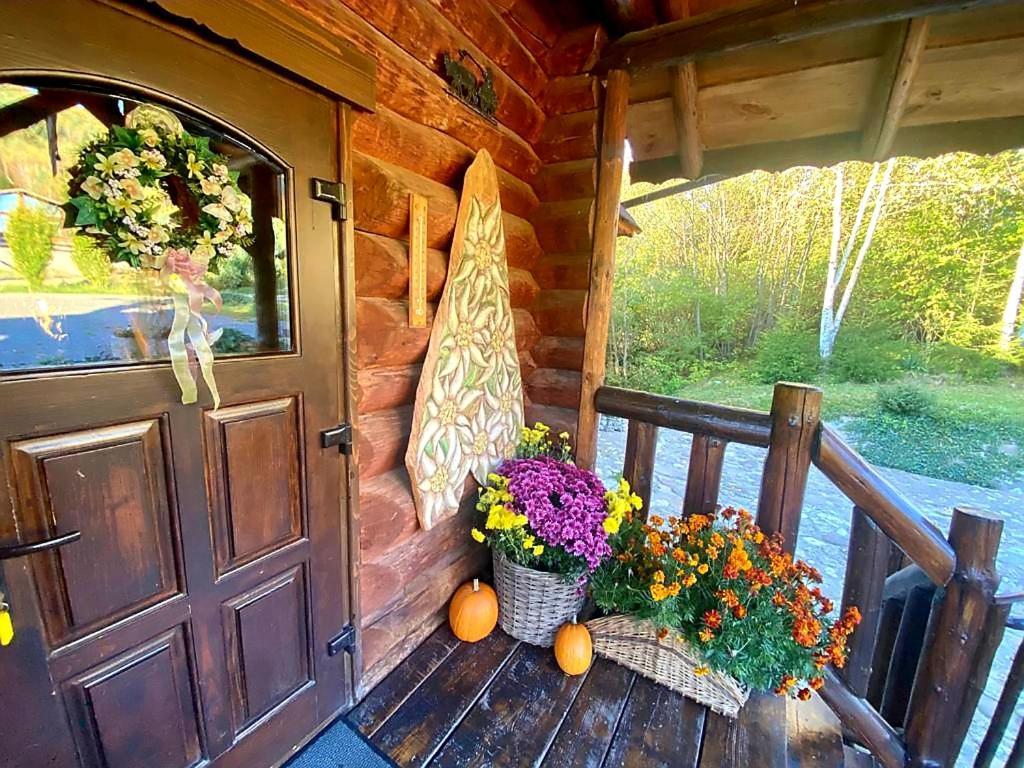 Cabana Vanatorului Risnov Exterior photo
