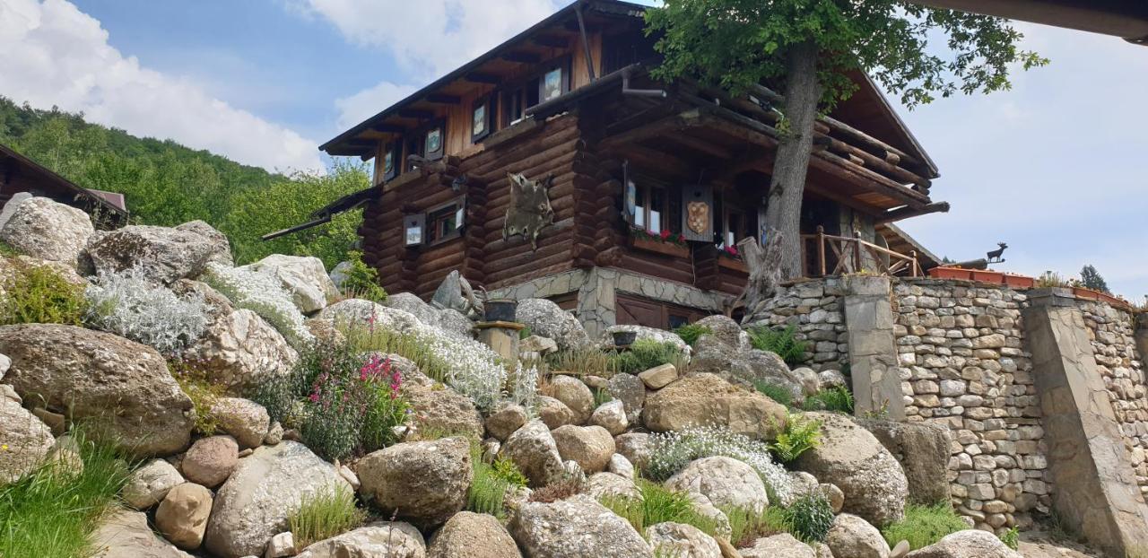 Cabana Vanatorului Risnov Exterior photo